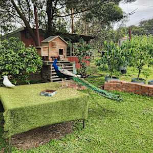 Mt Martha Bushland Hideaway Camping