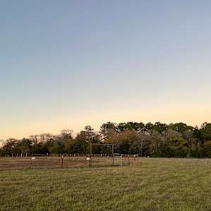 Open field in front of restroom