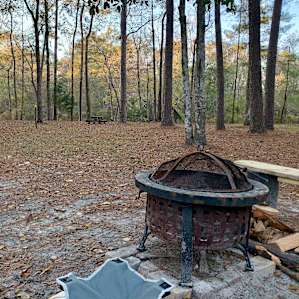 Site 6 fire ring looking toward the river