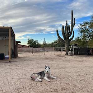 Photo of Nelles Ranch RV spot  - Nelles Ranch (14)