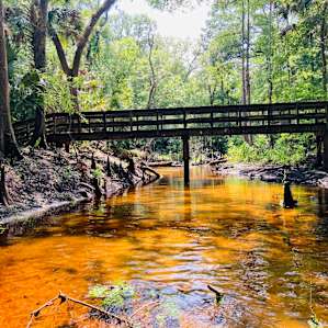 Photo of Camp Seminole Springs - Camp Seminole Springs (135)