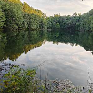 Photo of Between the Ponds - The Draper Property (141)