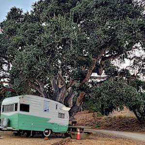Photo of Open Space/Tent/Camper Van - Camp Arroyo Grande (71)