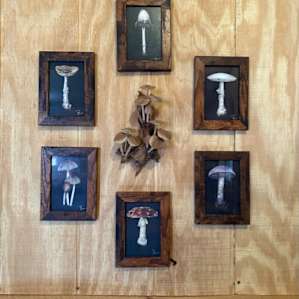 Photo of Mountainside "Hickory" Cabin - Mt. Solitude Cabin Retreats (31)