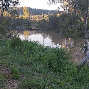 Photo of 2 1/2 Mile - Glenelg Station (30)