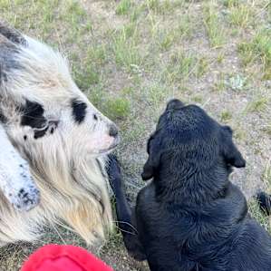 Photo of Heritage Hills Farm RV Sites - Heritage Hills Farm (13)