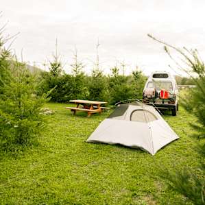 Photo of Tree Farm Tent Site Number One - Eagle Haven Winery (1)