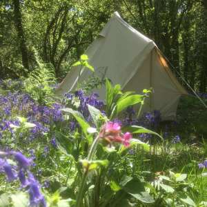 Cilrath Wood Camping