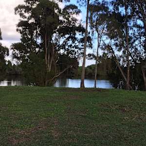 Camping Shop Casino Nsw Camping Shop Casino Nsw