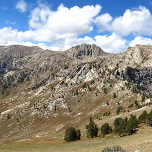 Humboldt-Toiyabe National Forest
