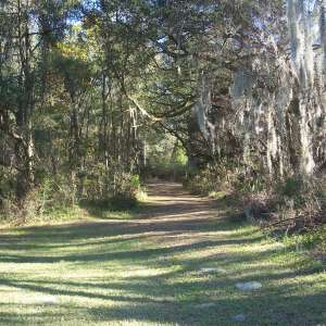Cross Florida Greenway