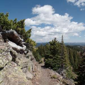 Grand Mesa National Forest
