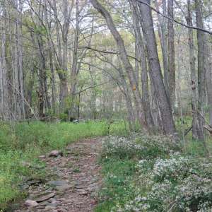 Catskill State Park