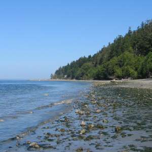 South Whidbey Island State Park
