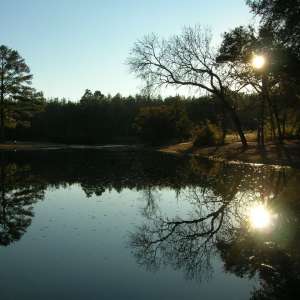 Aiken State Park