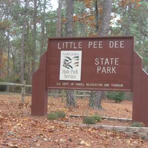 Little Pee Dee State Park
