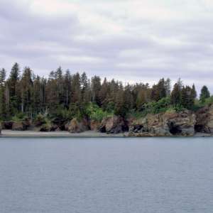 Kachemak Bay State Park and State Wilderness Park