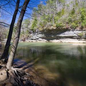 Bankhead National Forest
