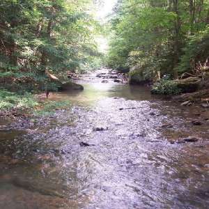 Holly River State Park