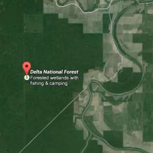 Delta National Forest