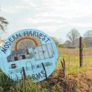 Modern Harvest Farms