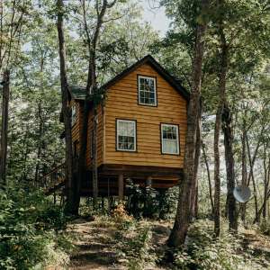 Maine Treehouse Rentals