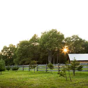 Trailside Ranch Cabin Rentals