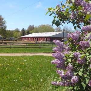 Double J Ranch Horse/Hobby Farm