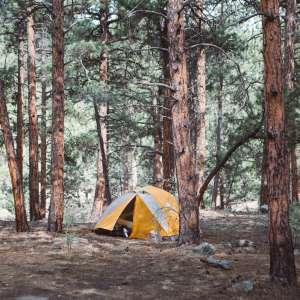Gray interior Protects health book camping