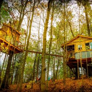 Treehouses, Off the Grid!