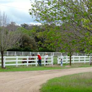 HomeAway Ranch & Wildlife Preserve
