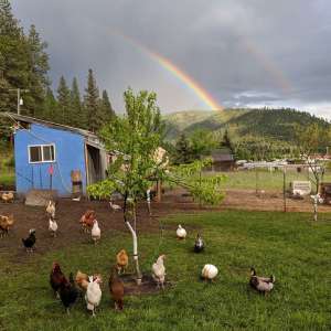 Rainbow Gulch Farm