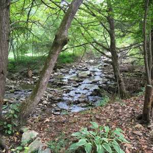 Reems Creek Retreat
