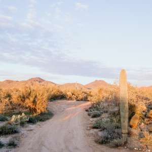 Wild Burro Desert Retreat