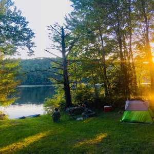 Lakeside Wooded Tent Camping