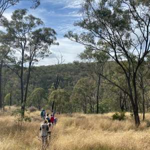Australian bush camping and riding