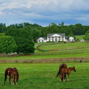 Classic Kentucky Horse Farm