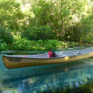 The Wekiva River Experience