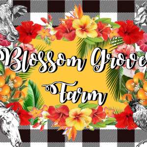 Blossom Groves Campsites 1-4