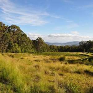 Callicoma Hill: off grid & surrounded by nature, Hunter Valley