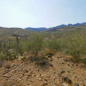 Mountain Desert Retreat