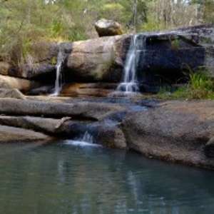 Splitters Swamp Creek Waterfall