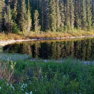 Alice Lake Provincial Park