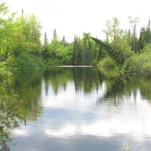 Bonnechere Provincial Park