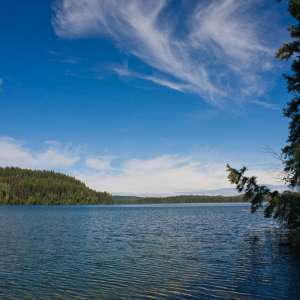 Bridge Lake Provincial Park