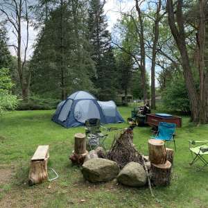 Big Tree Camping