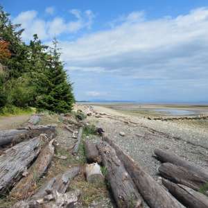Miracle Beach Provincial Park