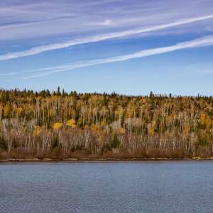 Pigeon Lake Provincial Park