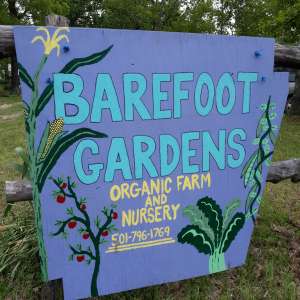 Barefoot Gardens