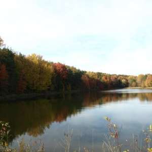 Lakeside and Forest tent sites